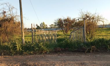 Grace Kelm Vende hermosa Parcela Plana con luz y cercado, a minutos de ruta 5 Sur en Linares
