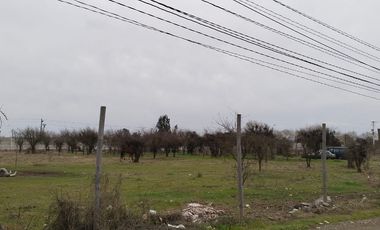 Grace Kelm Vende hermosa Parcela Plana con luz y cercado, a minutos de ruta 5 Sur en Linares