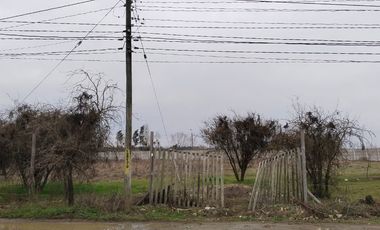 Grace Kelm Vende hermosa Parcela Plana con luz y cercado, a minutos de ruta 5 Sur en Linares