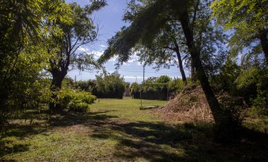Amplio y arbolado terreno con casa