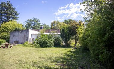 Amplio y arbolado terreno con casa