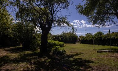 Amplio y arbolado terreno con casa