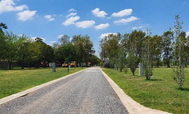 Terreno - Longchamps