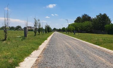 Terreno - Longchamps