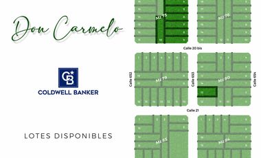 LOTES en Barrio DON CARMELO - 22 y 652