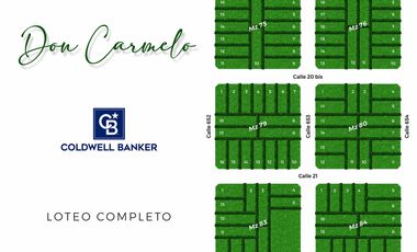 LOTES en Barrio DON CARMELO - 22 y 652