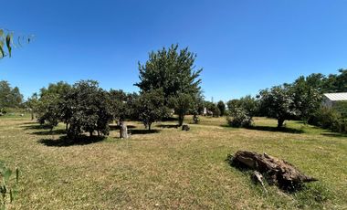 TERRENO CON QUINTA EN VENTA