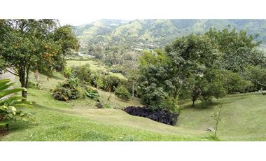 VENTA  DE FINCA EN  AMAG - SUROESTE ANTIOQUEÑO