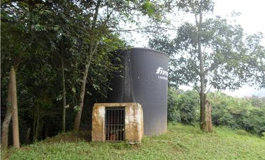 VENTA  DE FINCA EN  AMAG - SUROESTE ANTIOQUEÑO