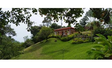 VENTA  DE FINCA EN  AMAG - SUROESTE ANTIOQUEÑO