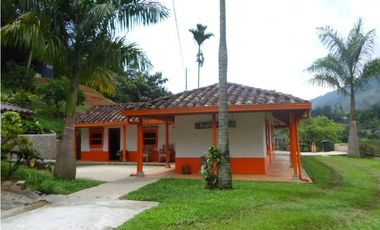 VENTA  DE FINCA EN  AMAG - SUROESTE ANTIOQUEÑO