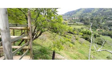 VENTA  DE FINCA EN  AMAG - SUROESTE ANTIOQUEÑO