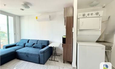 Alquiler de apartamento en Calidonia Perejil