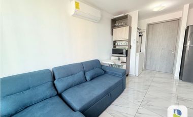 Alquiler de apartamento en Calidonia Perejil