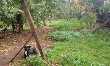 Casa en venta en LA UNION