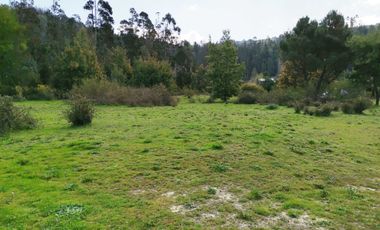 Parcela en venta en CORONEL