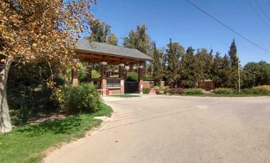 Parcela en venta  en MARÍA PINTO