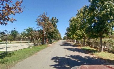 Parcela en venta  en MARÍA PINTO