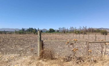 Parcela en venta  en MARÍA PINTO