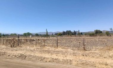 Parcela en venta  en MARÍA PINTO
