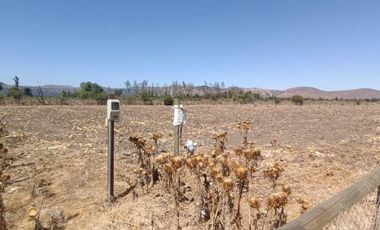 Parcela en venta  en MARÍA PINTO