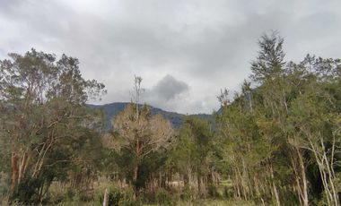 Casa en venta en COCHAMÓ