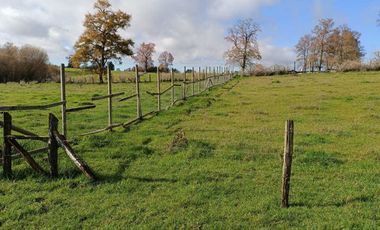 Parcela en venta en RÍO BUENO