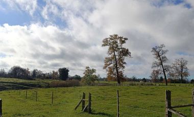 Parcela en venta en RÍO BUENO