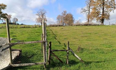 Parcela en venta en RÍO BUENO