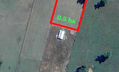 Parcela en venta en RÍO BUENO