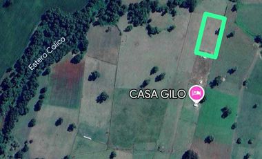 Parcela en venta en RÍO BUENO