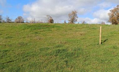 Parcela en venta en RÍO BUENO