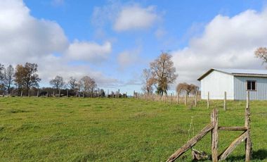 Parcela en venta en RÍO BUENO