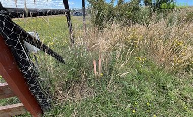 Parcela en Venta en Parcelación Lomas del Sur