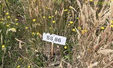 Parcela en Venta en Parcelación Lomas del Sur