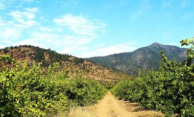 Agrícola en Venta en Camino a Embalse Lliu Lliu - LIMACHE.