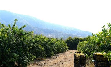 Agrícola en Venta en Camino a Embalse Lliu Lliu - LIMACHE.