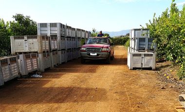 Agrícola en Venta en Camino a Embalse Lliu Lliu - LIMACHE.