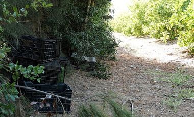 Agrícola en Venta en Camino a Embalse Lliu Lliu - LIMACHE.