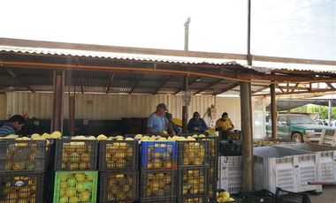 Agrícola en Venta en Camino a Embalse Lliu Lliu - LIMACHE.