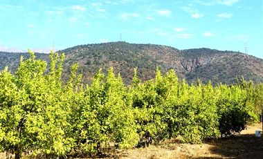 Agrícola en Venta en Camino a Embalse Lliu Lliu - LIMACHE.
