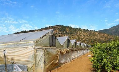 Agrícola en Venta en Camino a Embalse Lliu Lliu - LIMACHE.