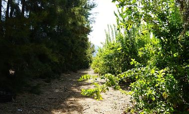 Agrícola en Venta en Camino a Embalse Lliu Lliu - LIMACHE.