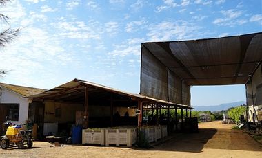 Agrícola en Venta en Camino a Embalse Lliu Lliu - LIMACHE.