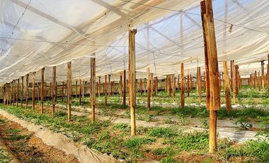 Agrícola en Venta en Camino a Embalse Lliu Lliu - LIMACHE.