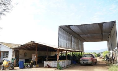 Agrícola en Venta en Camino a Embalse Lliu Lliu - LIMACHE.