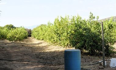 Agrícola en Venta en Camino a Embalse Lliu Lliu - LIMACHE.