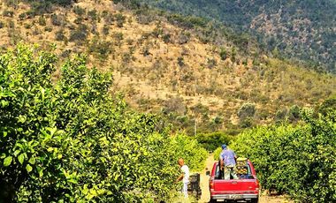 Agrícola en Venta en Camino a Embalse Lliu Lliu - LIMACHE.