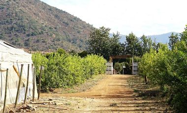 Agrícola en Venta en Camino a Embalse Lliu Lliu - LIMACHE.