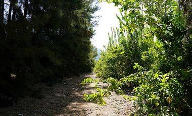Agrícola en Venta en Camino a Embalse Lliu Lliu - LIMACHE.